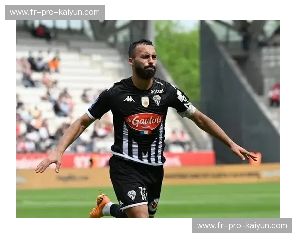 开云体育法甲资讯：揭秘法甲赛场的魅力与精彩